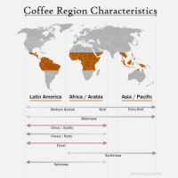 Coffee Flavor and Tastes by Country and Region