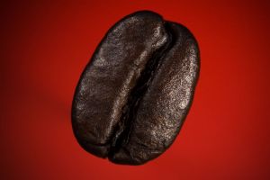 Coffee Flavor and Tastes by Country and Region